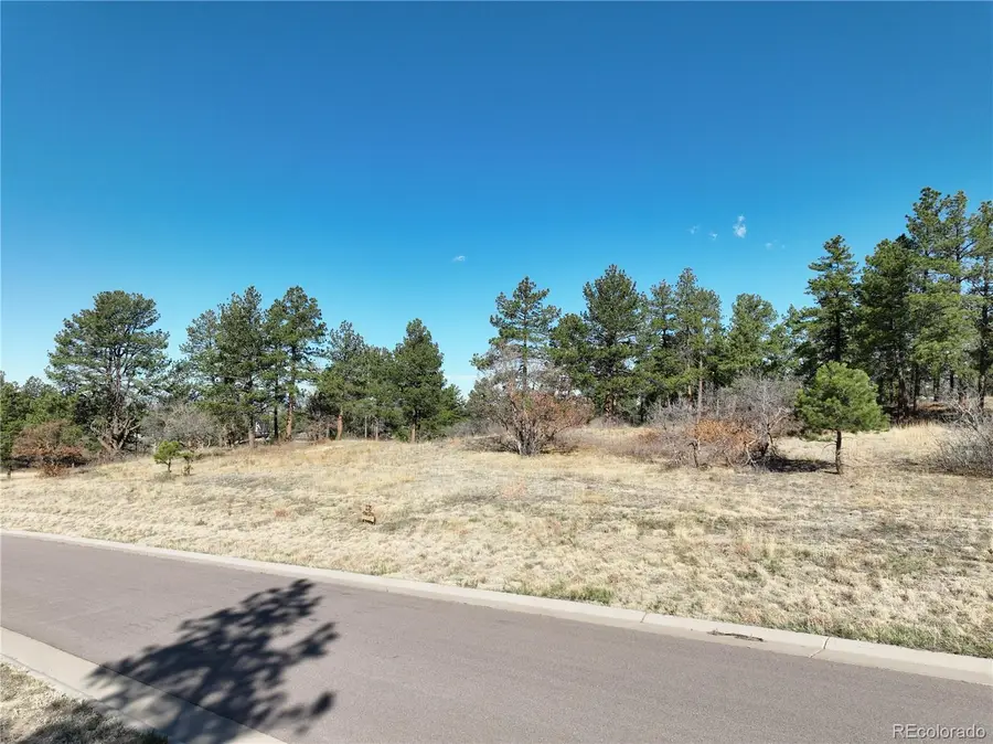 8125 Pine Straw Place, Franktown, CO 80116 - #3