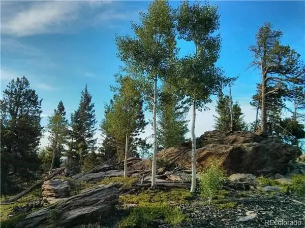 1695 Packsaddle Trail, Evergreen, CO 80439 - Image #3