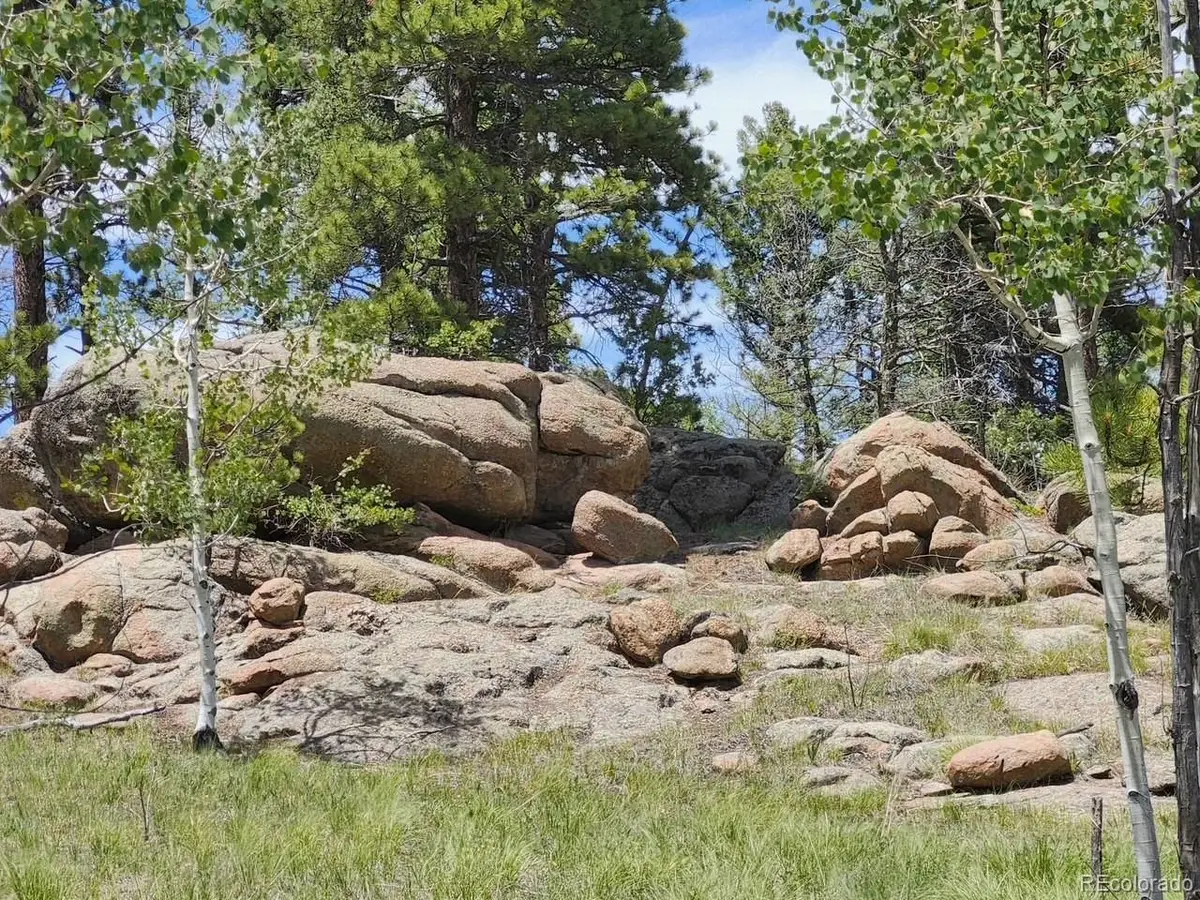 501 Cr-403, Florissant, CO 80816 - #1