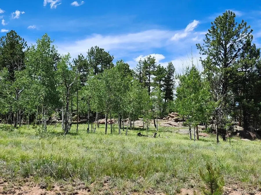 501 Cr-403, Florissant, CO 80816 - #2