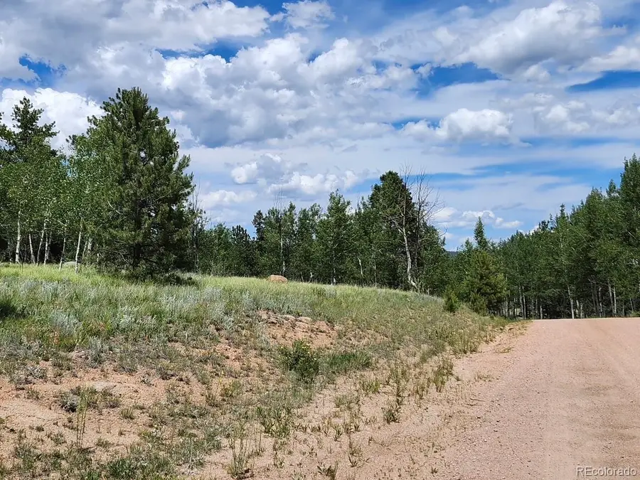 501 Cr-403, Florissant, CO 80816 - #3