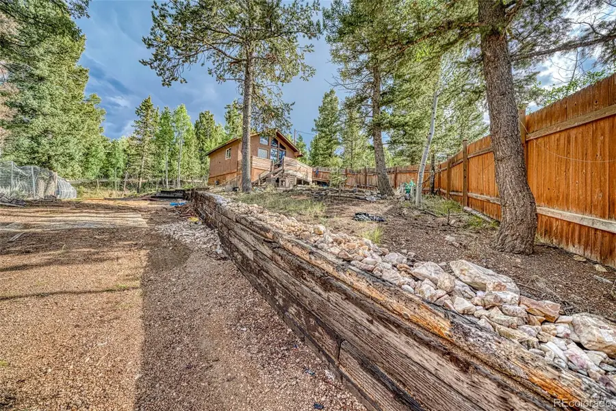 747 Trout Haven Road, Florissant, CO 80816 - Image #3
