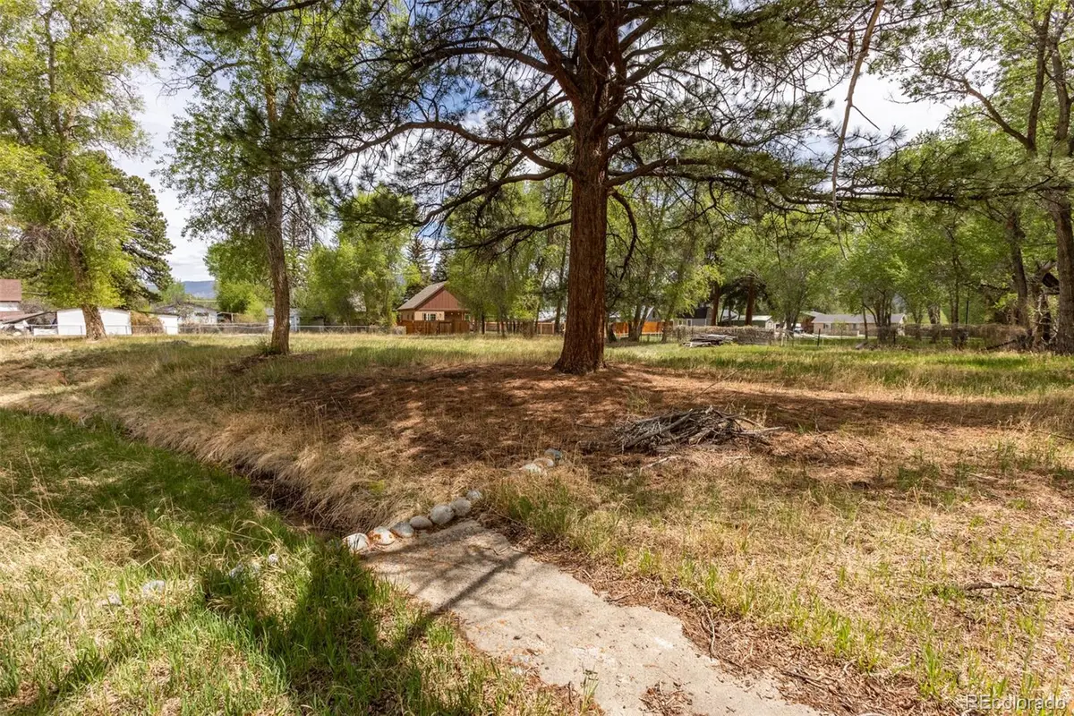 N Sangre De Cristo Avenue, Buena Vista, CO 81211 - #1