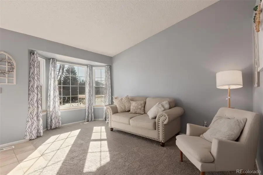 4381 E Andover Avenue, Castle Rock, CO 80104 - #3