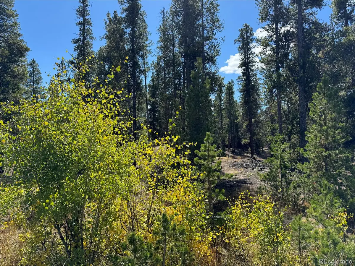 517 Augusta Drive, Leadville, CO 80461 - #1