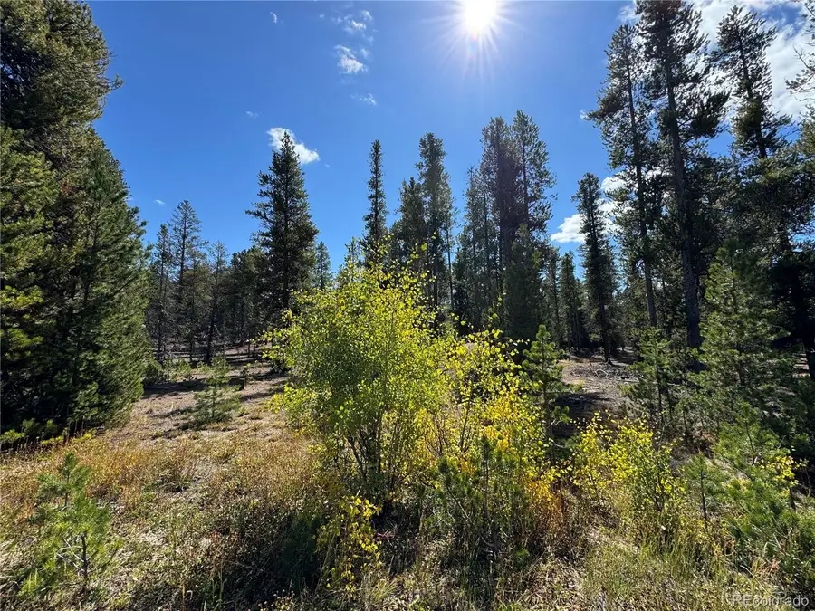 517 Augusta Drive, Leadville, CO 80461 - #2