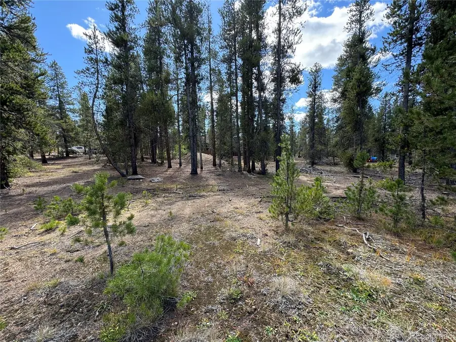 517 Augusta Drive, Leadville, CO 80461 - #3