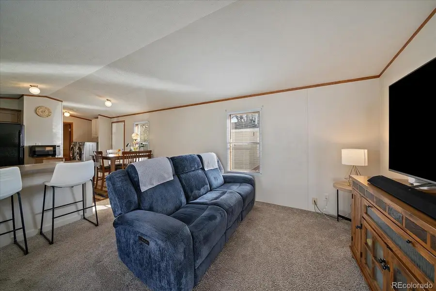 159 Mallard Street, Golden, CO 80401 - #3