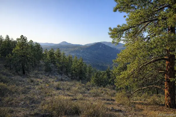 Delwood Drive, Bailey, CO 80421
