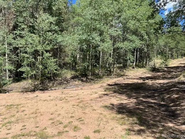 Lot 5655 Highlander Road, Fort Garland, CO 81133 - #1