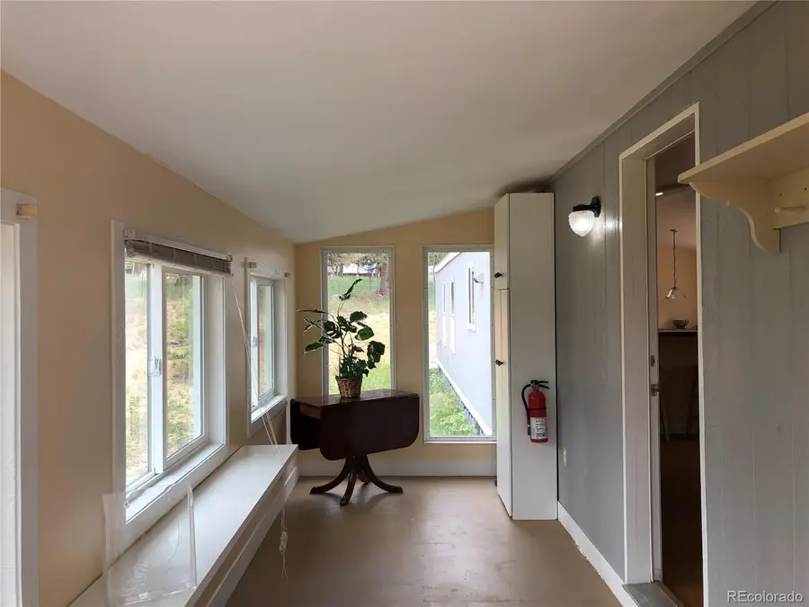 169 Daisy Street, Woodland Park, CO 80863 - #3