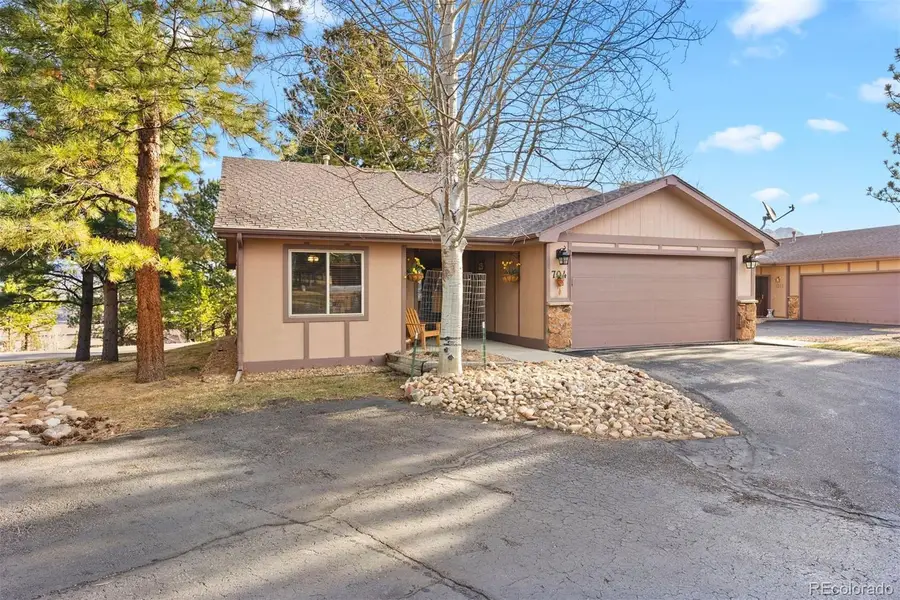 704 Birdie Lane, Estes Park, CO 80517 - #3
