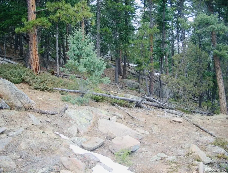 22076 High Springs Trail, Morrison, CO 80465 - #2