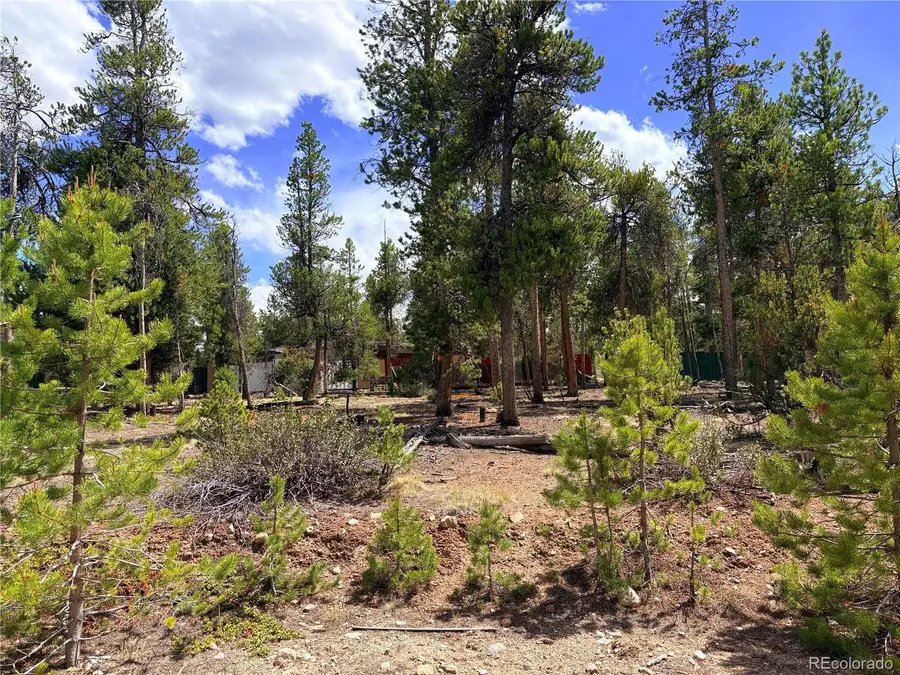 360 Lodgepole Drive, Leadville, CO 80461 - #2