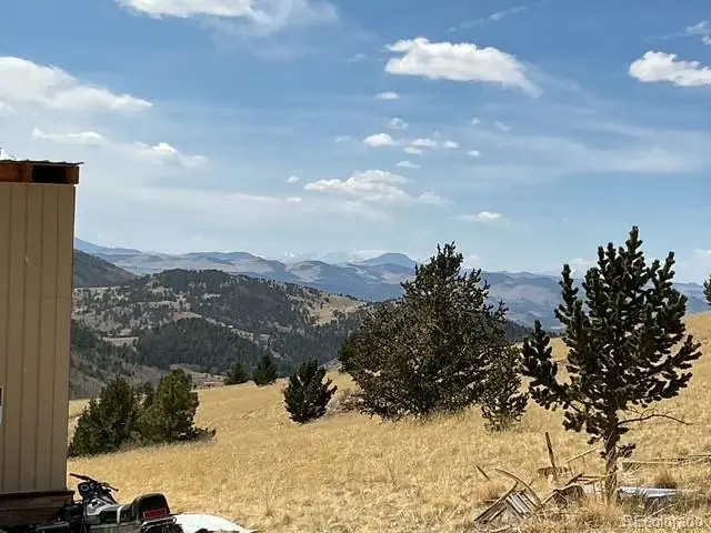 00 Rhyolite Mountain Mesa, Cripple Creek, CO 80813 - #3