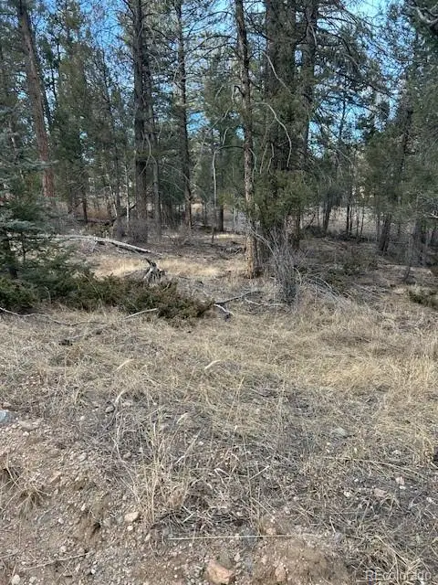 260 Ranch Resorts Drive, Florissant, CO 80816
