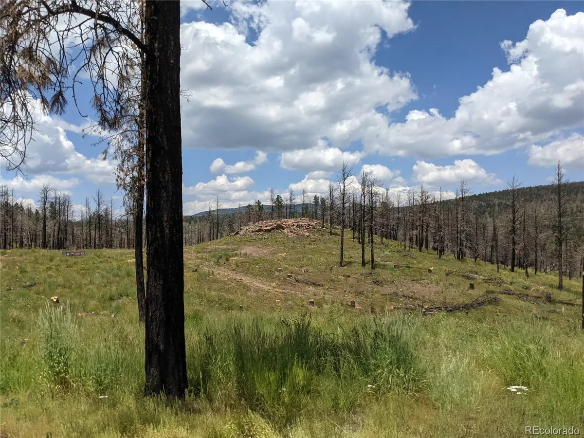 549-551 Drevs Place, Fort Garland, CO 81133 - #1