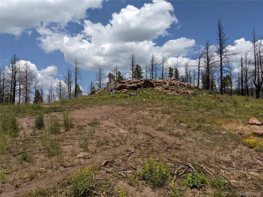 549-551 Drevs Place, Fort Garland, CO 81133 - #2