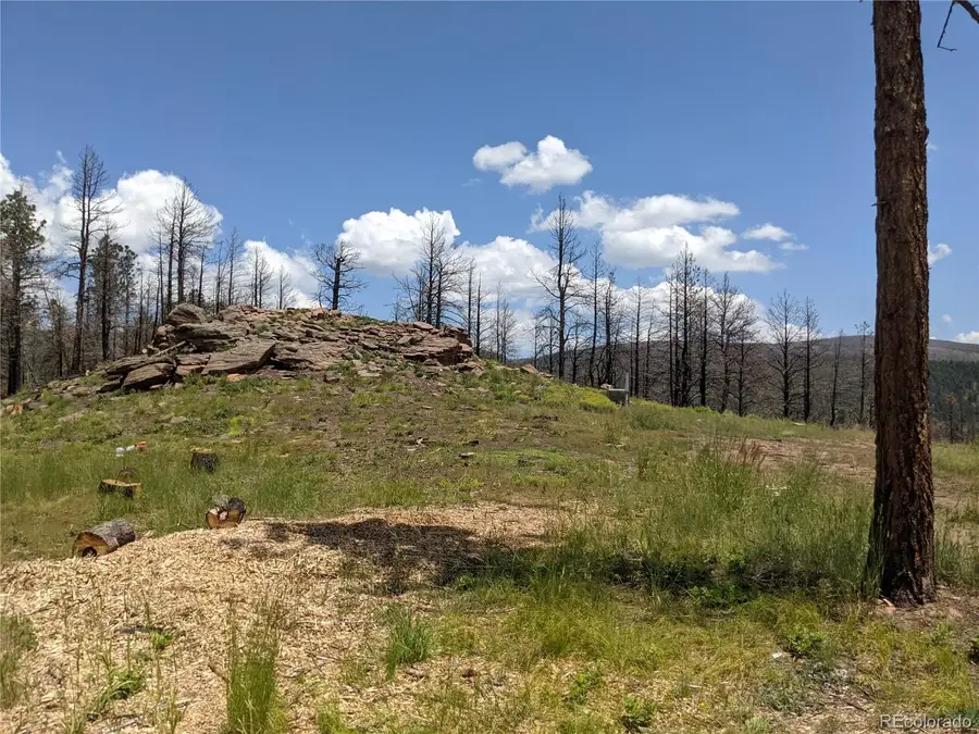 549-551 Drevs Place, Fort Garland, CO 81133 - #3