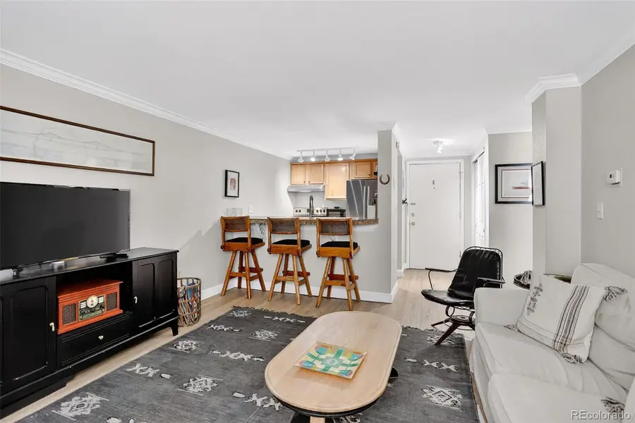1125 N Washington Street #206, Denver, CO 80203 - #3