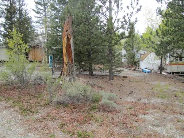 60 Rail Way, Hartsel, CO 80449