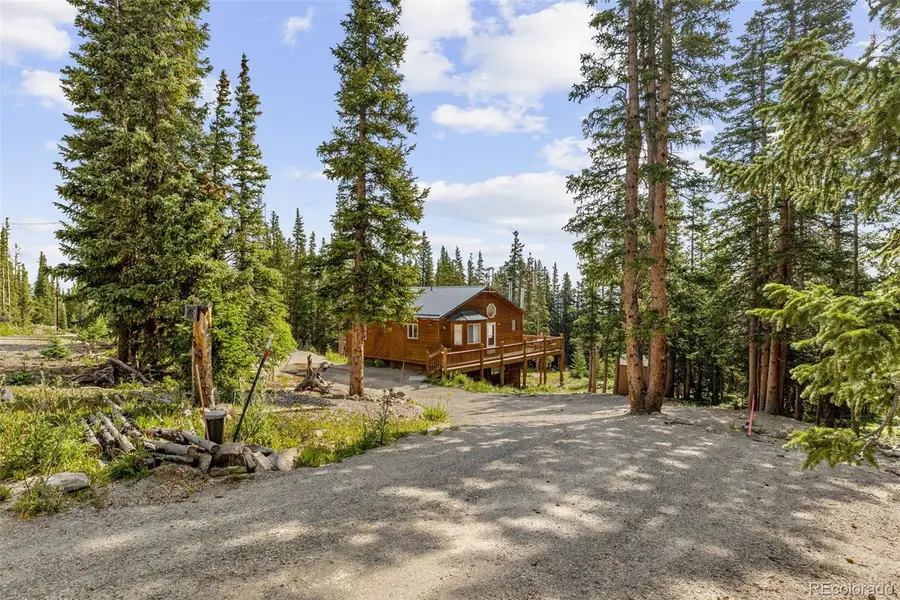 238 Prunes Place, Fairplay, CO 80440 - #2
