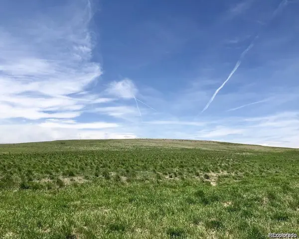 41382 Bijou Street, Agate, CO 80101