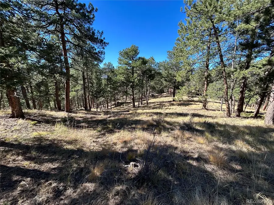 0 White House, Evergreen, CO 80439 - #2