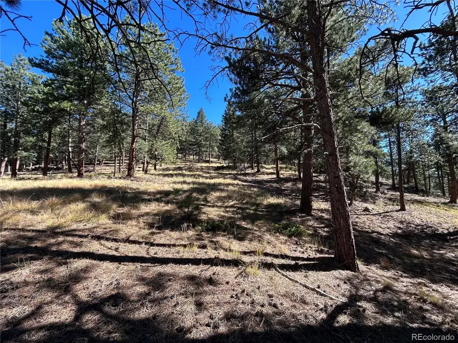 0 White House, Evergreen, CO 80439 - #3