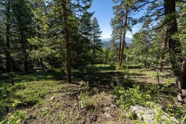 11698 Nichols Way, Conifer, CO 80433
