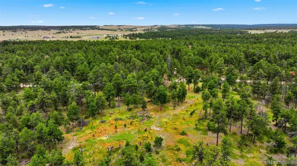 17374 W Goshawk Road, Colorado Springs, CO 80908