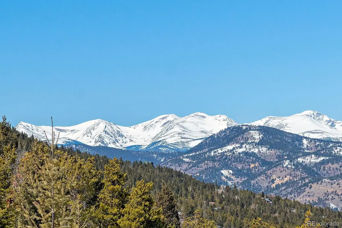 221 Halter Way, Evergreen, CO 80439 - #1