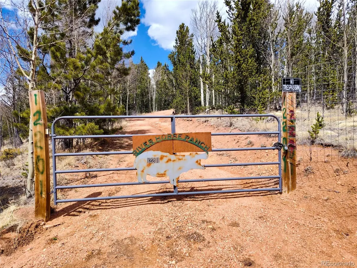 12201 S State Highway 67, Cripple Creek, CO 80813 - #1