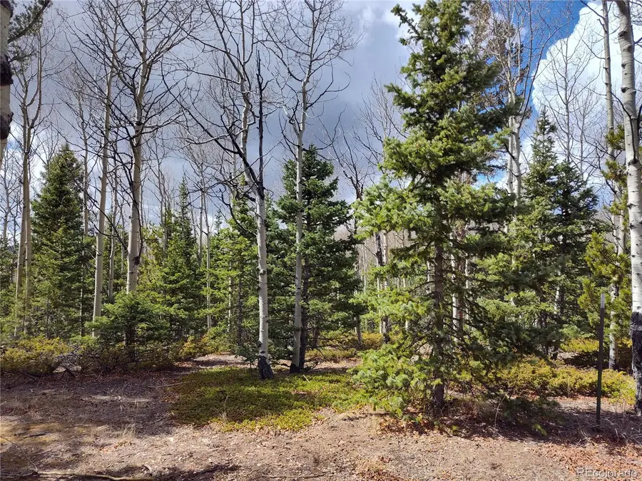 12201 S State Highway 67, Cripple Creek, CO 80813 - #3