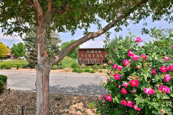 1341 Washburn Street, Erie, CO 80516