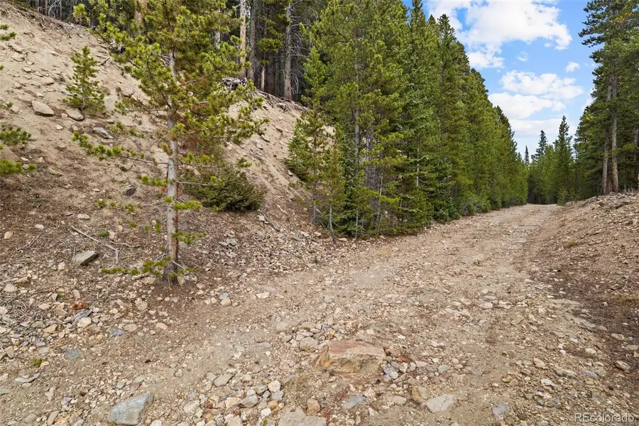 773 Harris Circle, Idaho Springs, CO 80452 - Image #3