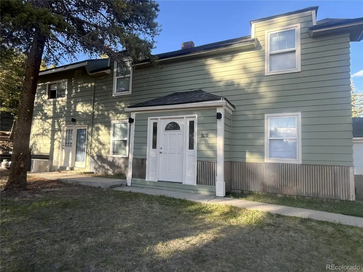 1705 Delane Street, Leadville, CO 80461 - #1