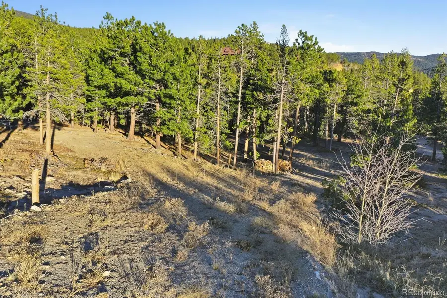 13 Paradise Valley Parkway, Black Hawk, CO 80422 - Image #2