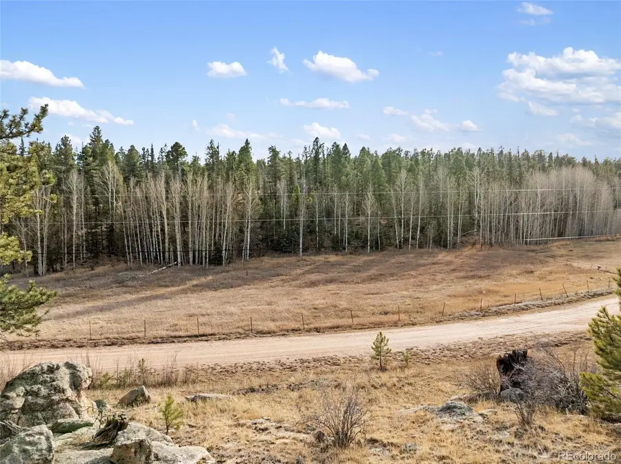 263 Valley Drive, Lake George, CO 80827 - #2