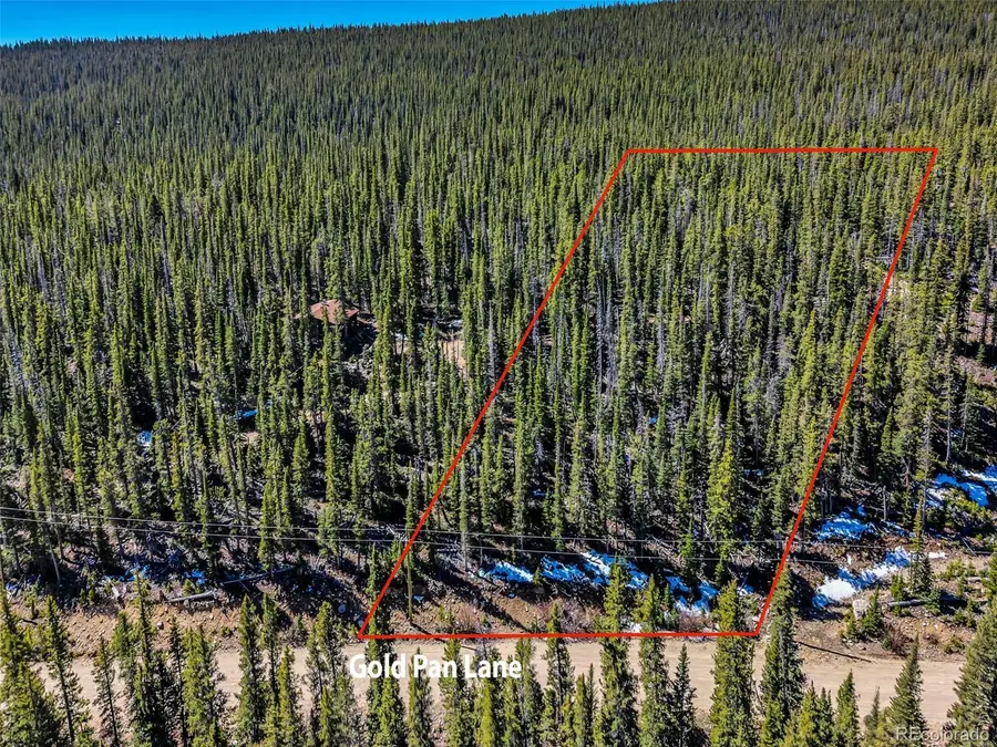 880 Gold Pan Lane, Fairplay, CO 80440 - #2