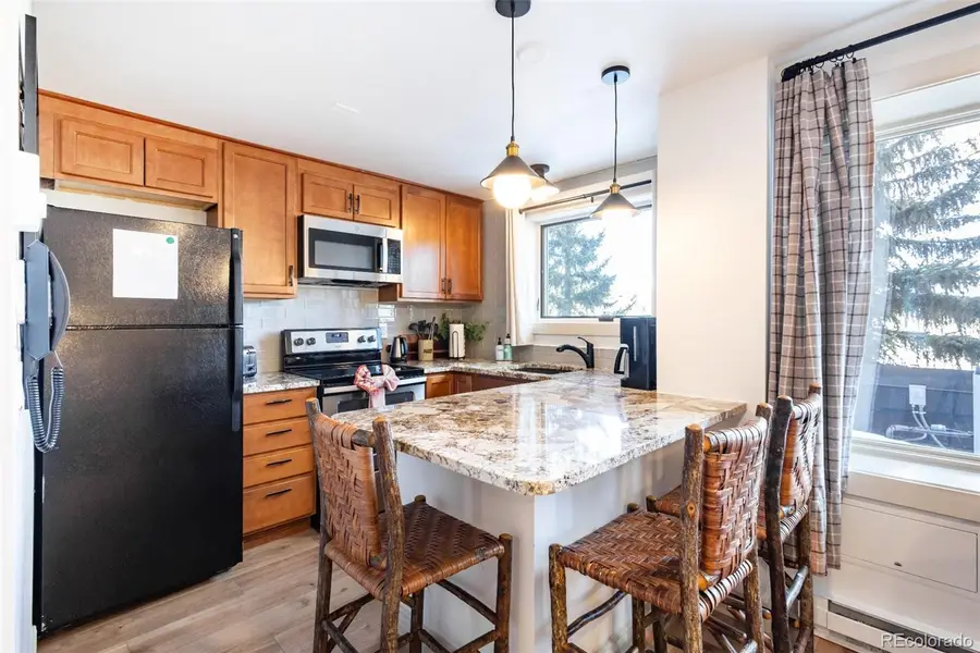 535 S Park Avenue #218, Breckenridge, CO 80424 - #3