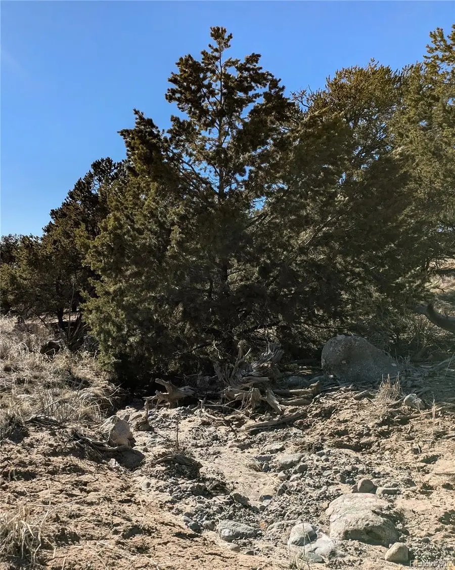 1393 Spanish Ruins, Crestone, CO 81131 - #3