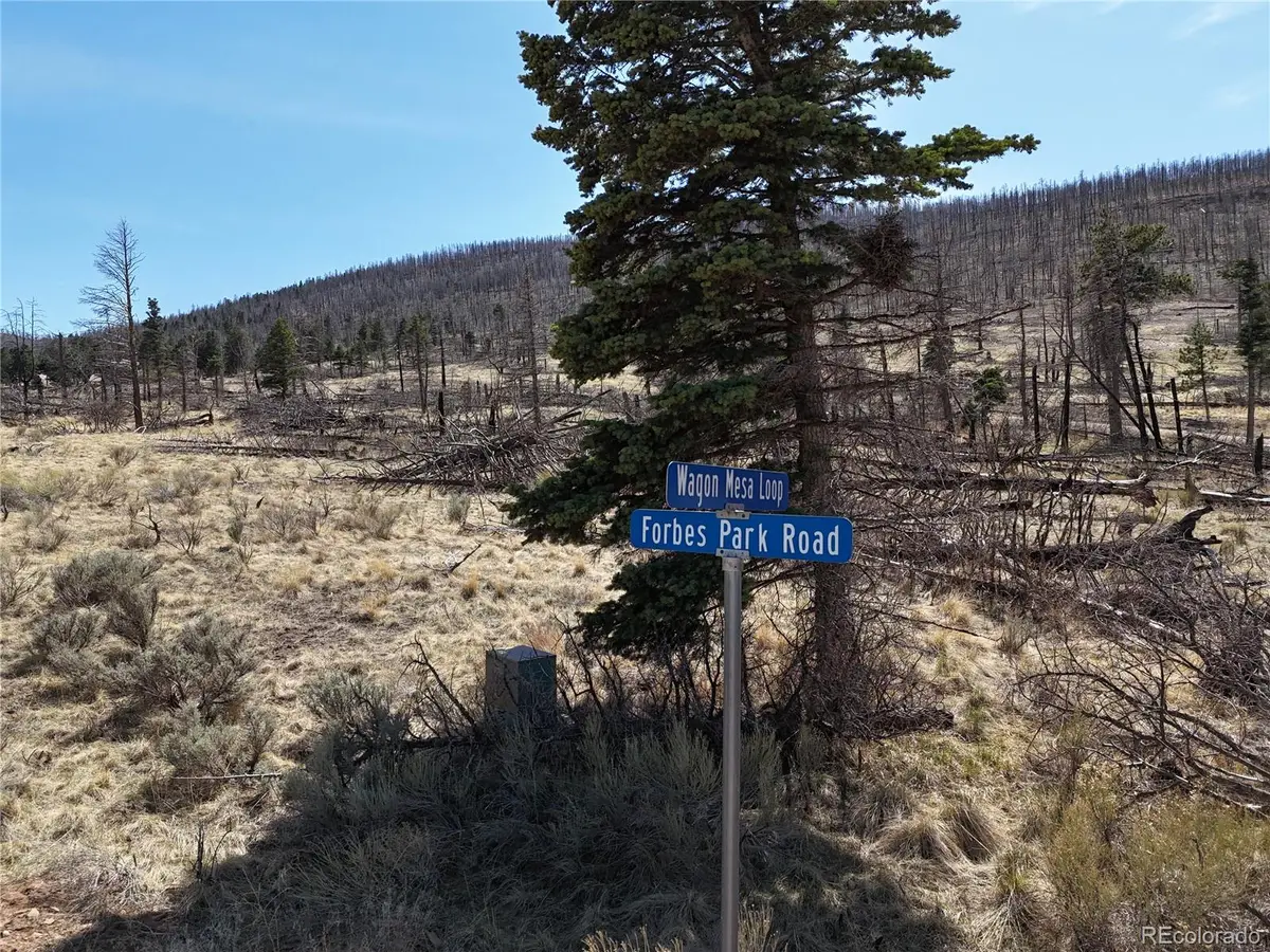 LOT 506 Forbes Park Road, Fort Garland, CO 81133 - #1