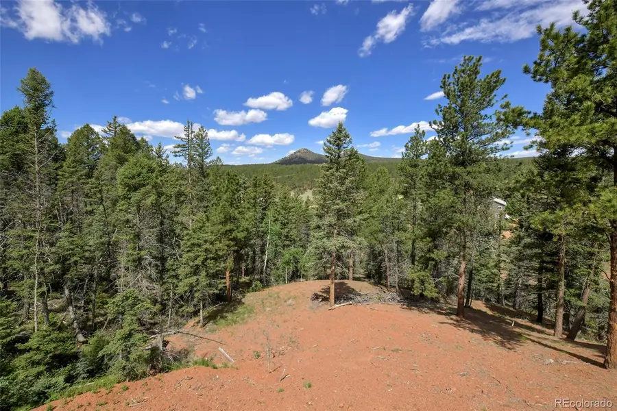 100 Wildcat Creek Drive, Florissant, CO 80816 - #3