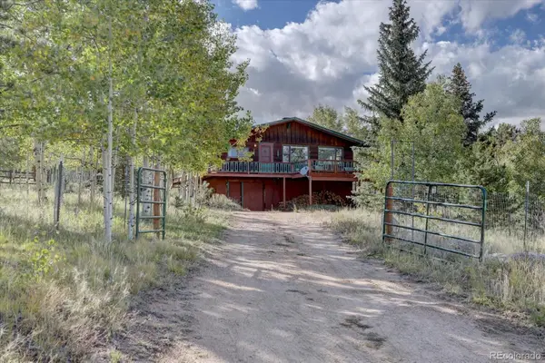 255 Saddlestring Road, Bailey, CO 80421