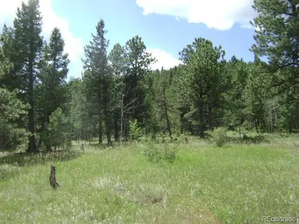 1504 County Road 43, Bailey, CO 80421