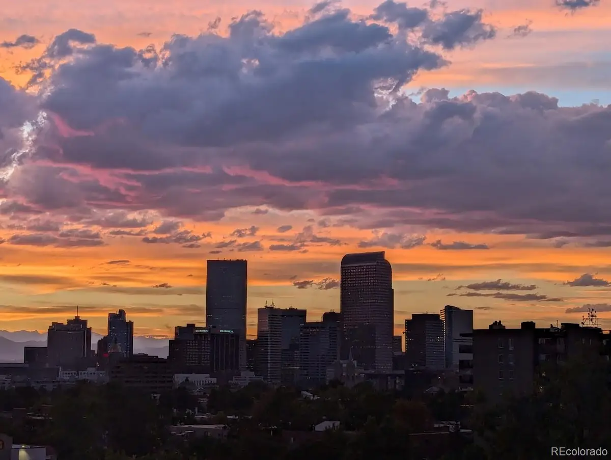 909 N Lafayette Street #503, Denver, CO 80218 - #1