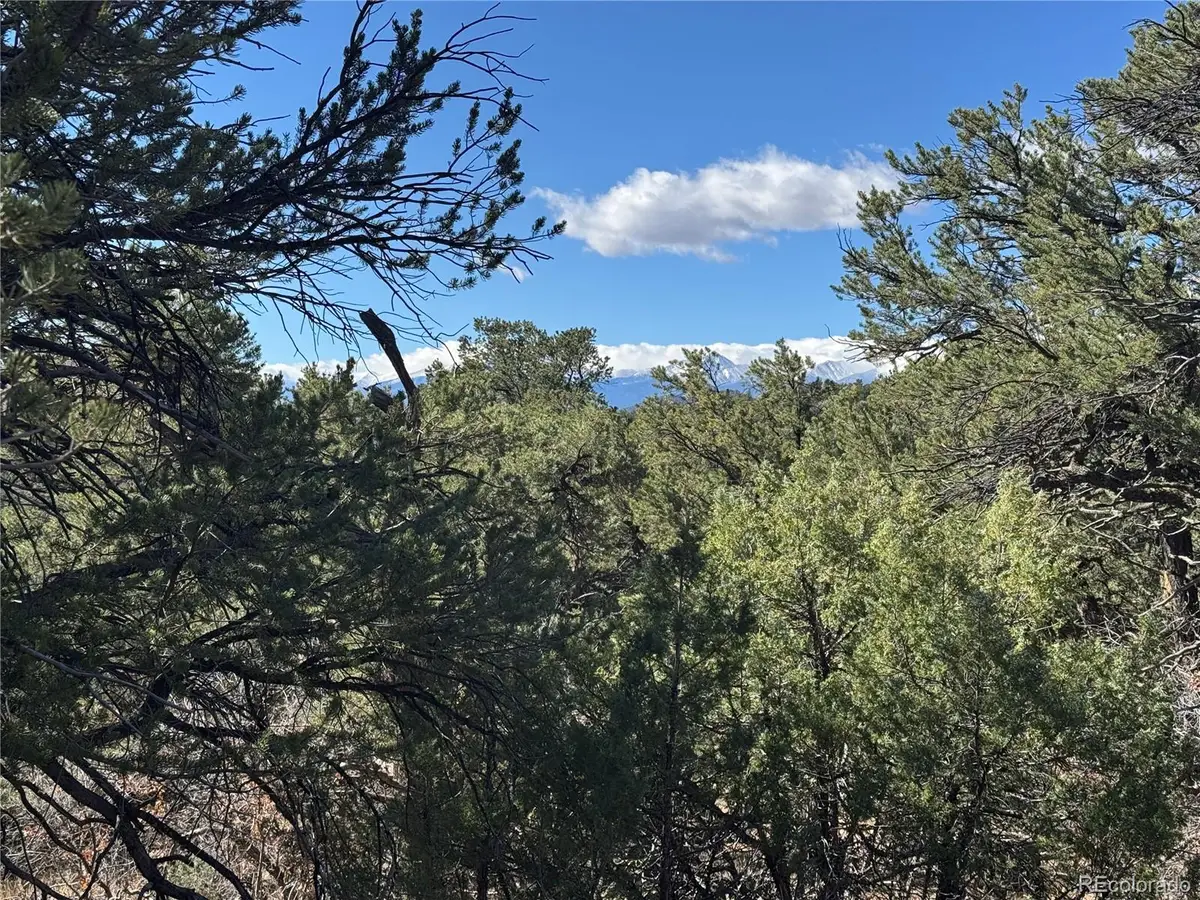 TR-143 18th Trail, Cotopaxi, CO 81223 - #1