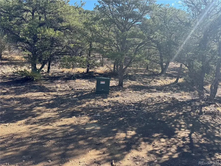 TR-143 18th Trail, Cotopaxi, CO 81223 - #2