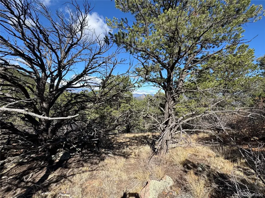 TR-143 18th Trail, Cotopaxi, CO 81223 - #3